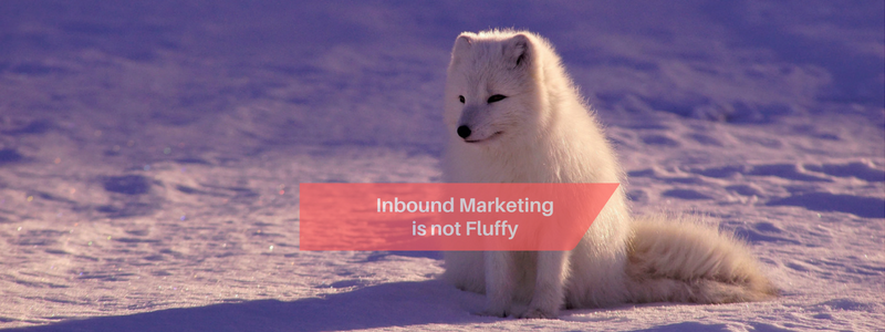 Inbound marketing is based on data