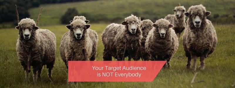 target audience is not everybody