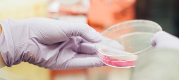 laboratory-1